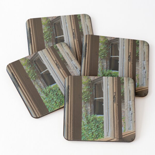 Item preview, Overgrown Windows designed and sold by veronicahetch.