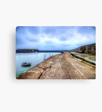 Lyme Regis Cob Canvas Print