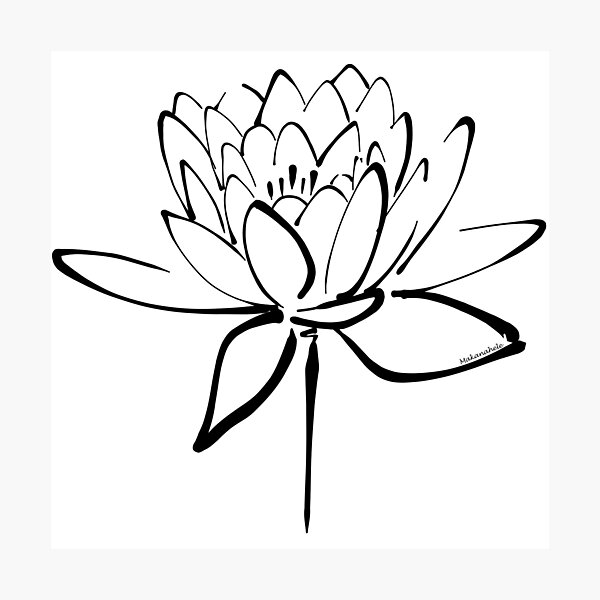Lotus Flower Calligraphy (Black) Photographic Print