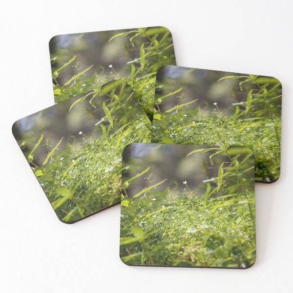 Item preview, Forest fauna designed and sold by bornmedia.