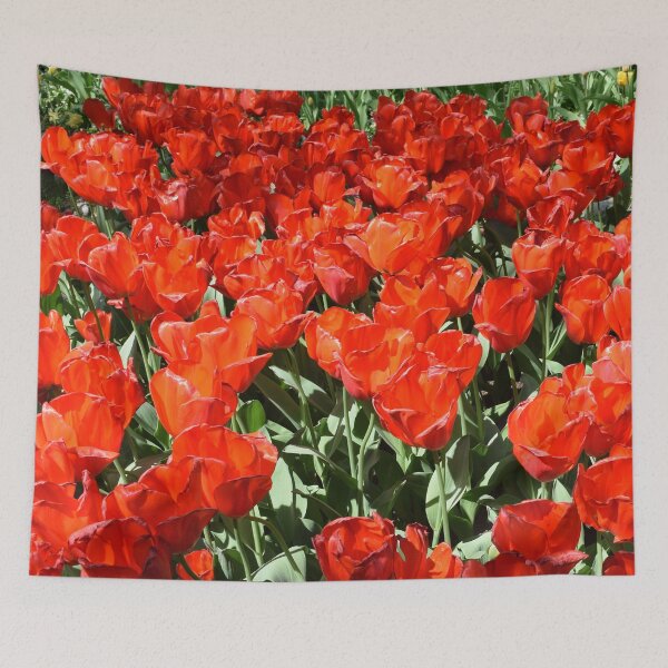 Item preview, Red tulips designed and sold by Linnys-Designs.