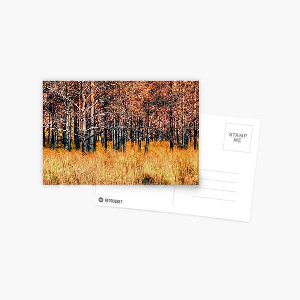 Glen Torridon Postcard