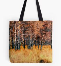 Glen Torridon Tote Bag