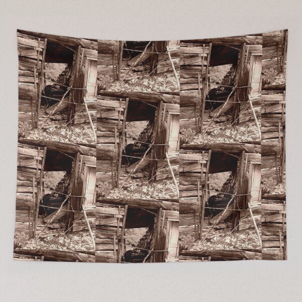 Item preview, Shack door at Old Victoria designed and sold by J Rier Photography.