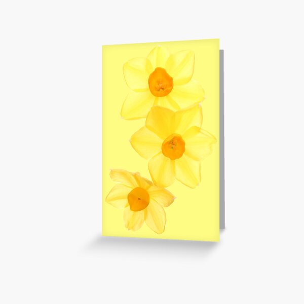 Narcissus Greeting Card