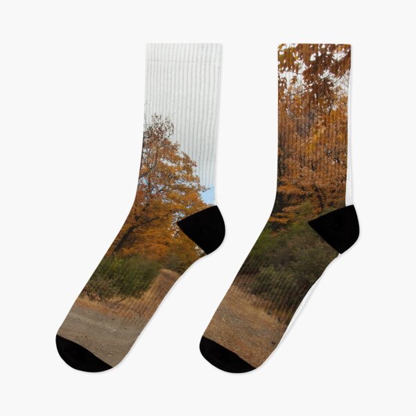 Item preview, Fall Road Trip Photography Print designed and sold by griffingphoto.