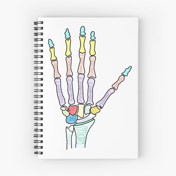 Item preview, Bones of the Hand designed and sold by makayla-21.