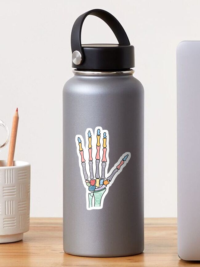 Thumbnail 1 of 3, Sticker, Bones of the Hand designed and sold by makayla-21.