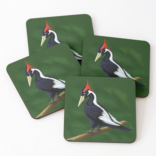 Item preview, The Rarest Woodpecker (Ivory Billed Woodpecker) designed and sold by Imagine My Universe.