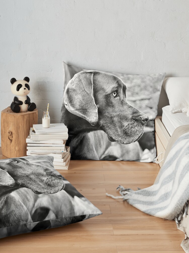 Alternate view of Blue Black Great Dane Floor Pillow