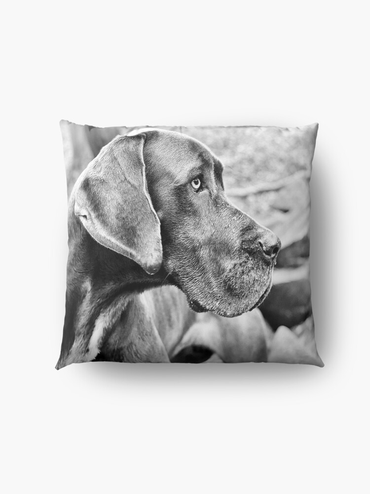 Alternate view of Blue Black Great Dane Floor Pillow