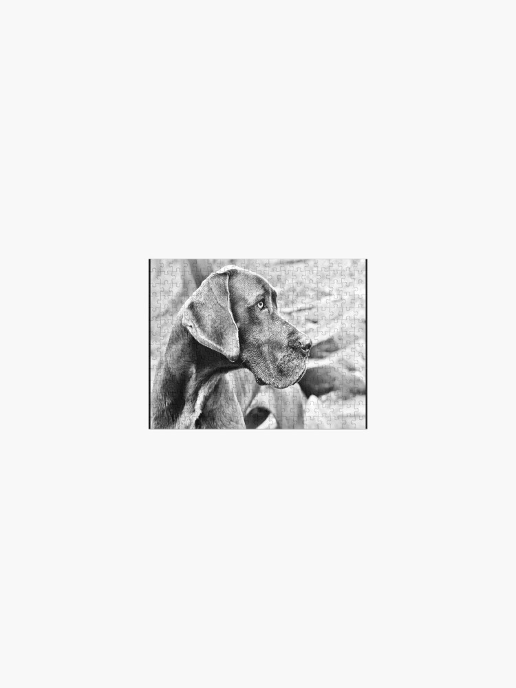 Thumbnail 1 of 3, Jigsaw Puzzle, Blue Black Great Dane designed and sold by Slinky-Reebs.