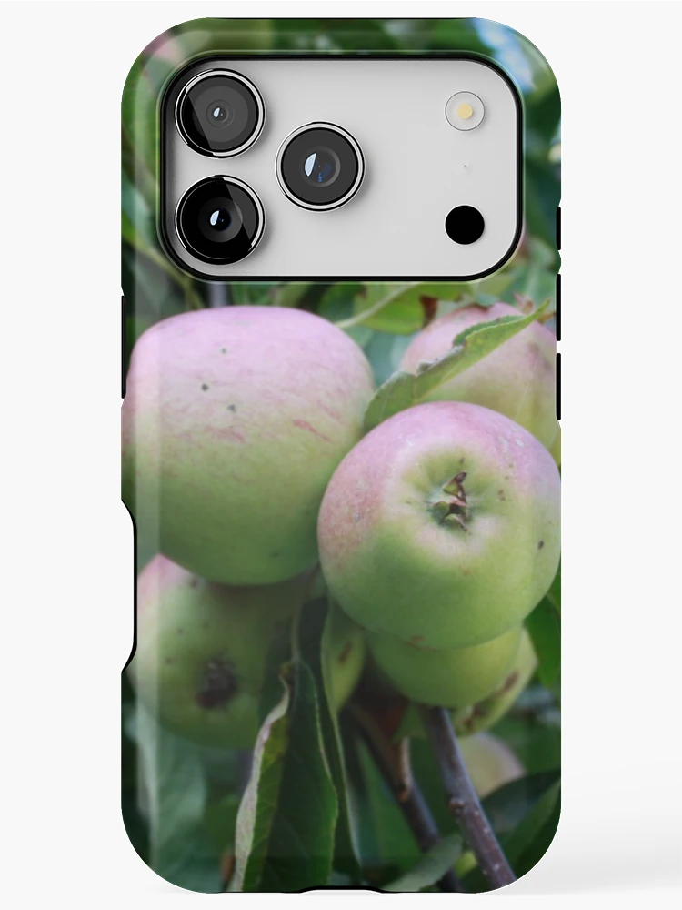 Thumbnail 1 of 4, iPhone Case, Ripening Apples designed and sold by DesignsofNote.