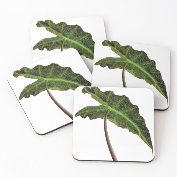 Item preview, Elephant Ear designed and sold by sabsdesigns.