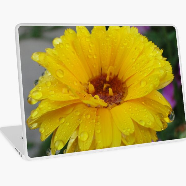 After rain Laptop Skin