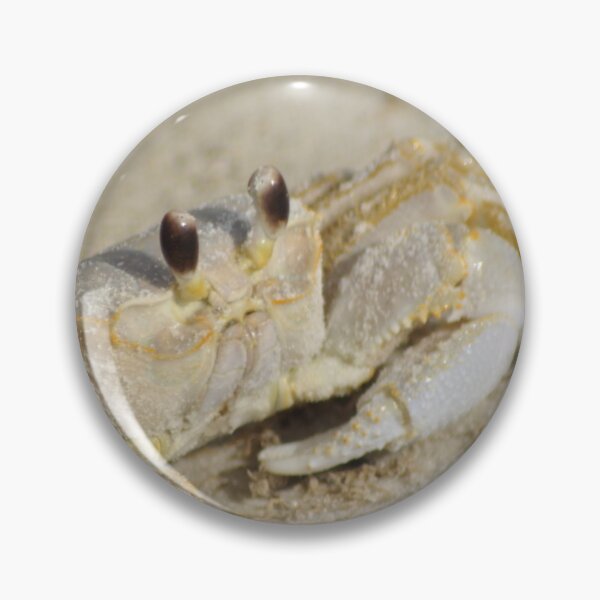 Item preview, Ghost Crab, As Is designed and sold by Kim McClain Gregal.