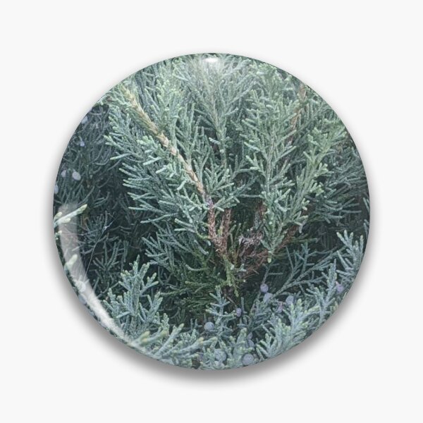 Item preview, Savinier in pattern designed and sold by naturalpatterns.