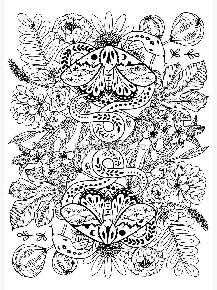 Moths and snakes by PetraHolikova
