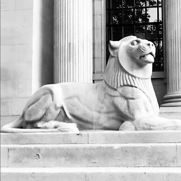 Artwork thumbnail, London Lion by DesignsofNote