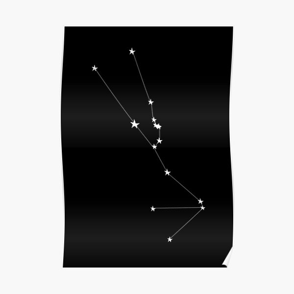 Constellation | Taurus Poster