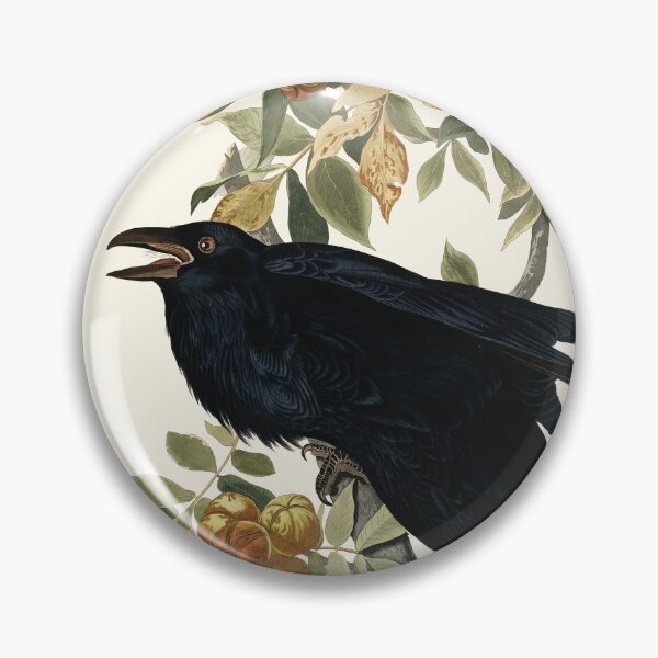 Item preview, Audubon vintage bird plate - Male raven designed and sold by Gardenlibrary.
