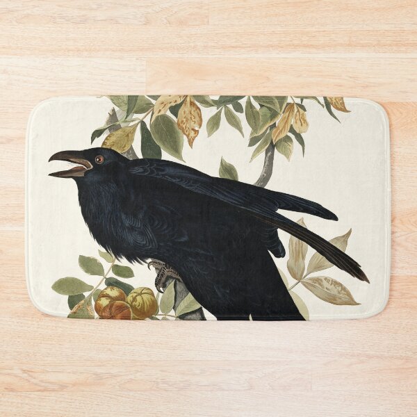Item preview, Audubon vintage bird plate - Male raven designed and sold by Gardenlibrary.