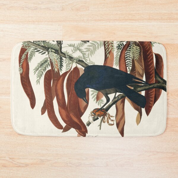 Item preview, Audubon vintage bird plate - Fish crow designed and sold by Gardenlibrary.