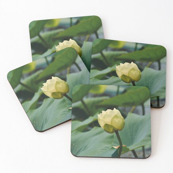 Item preview, Water Lily designed and sold by lisapicklepizza.