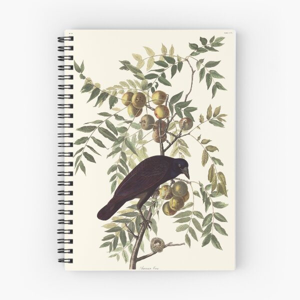 Item preview, Audubon vintage bird plate - American crow designed and sold by Gardenlibrary.