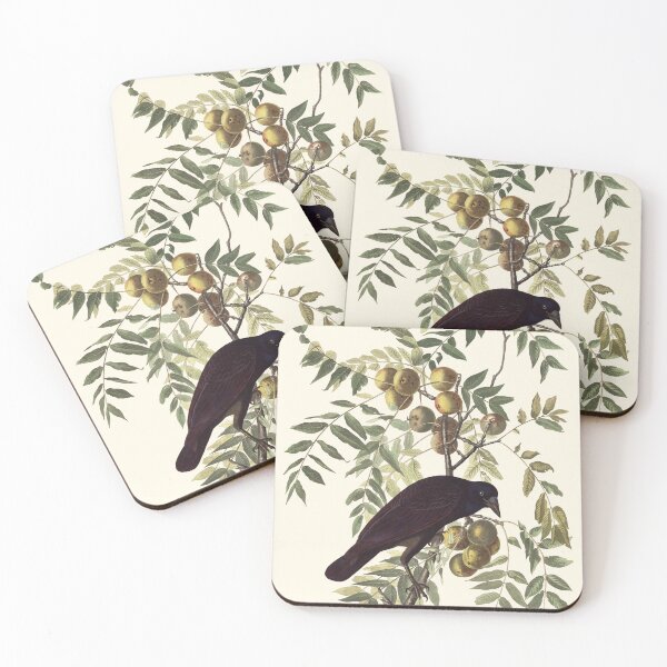 Item preview, Audubon vintage bird plate - American crow designed and sold by Gardenlibrary.