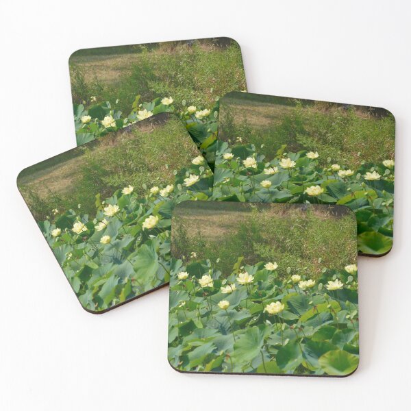 Item preview, Yellow Water Lilies designed and sold by lisapicklepizza.