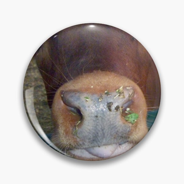 Item preview, brown cow face,  designed and sold by Stephanie  Skeem.