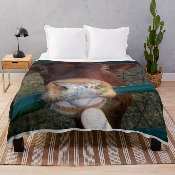 Item preview, brown cow face, designed and sold by Stephanie Skeem.