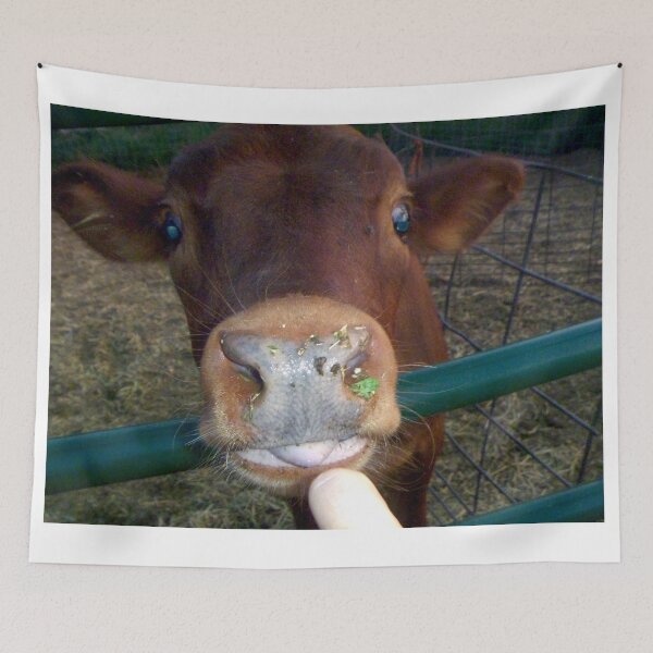 Item preview, brown cow face,  designed and sold by Stephanie  Skeem.