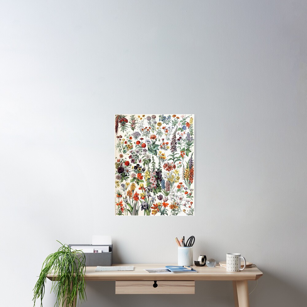 Adolphe Millot Fleurs A Vintage Flowers Poster