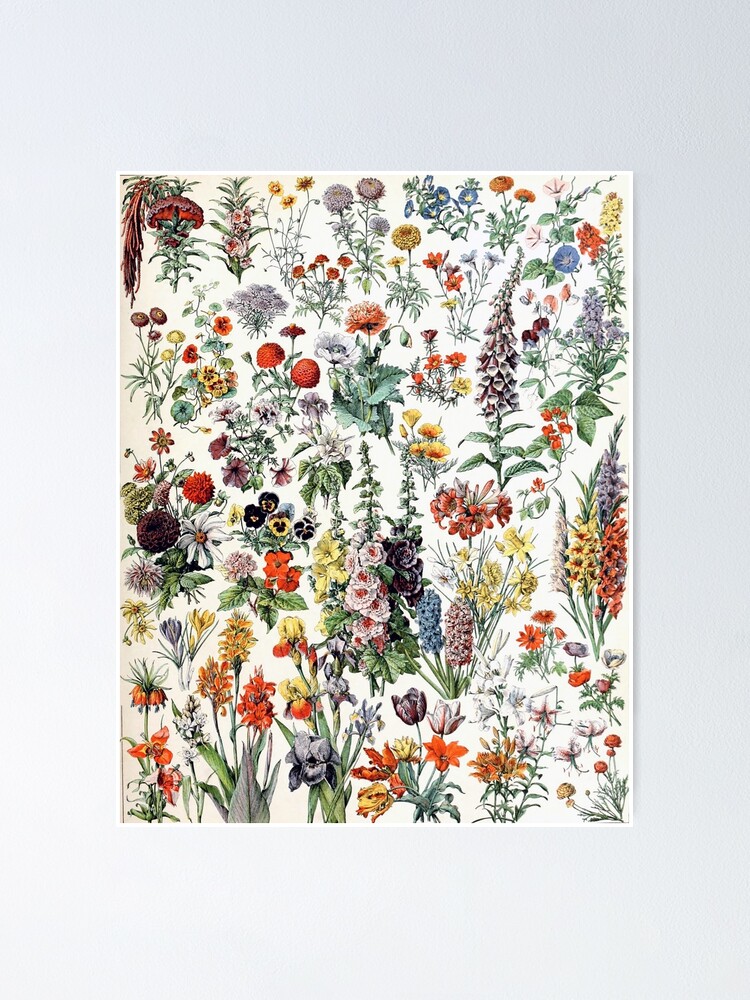 Alternate view of Adolphe Millot Fleurs A Vintage Flowers Poster