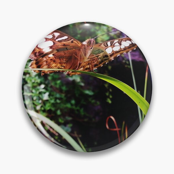 Item preview, Butterfly Balancing Act (Clipper Parthenos Sylvia) designed and sold by Nalinne Jones.