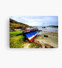 Barra Canvas Print