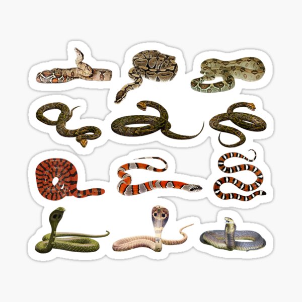 Colorful Worms Sticker Sheet  Abstract Snakes Stickers  Fun Whimsical Sticker Sheets