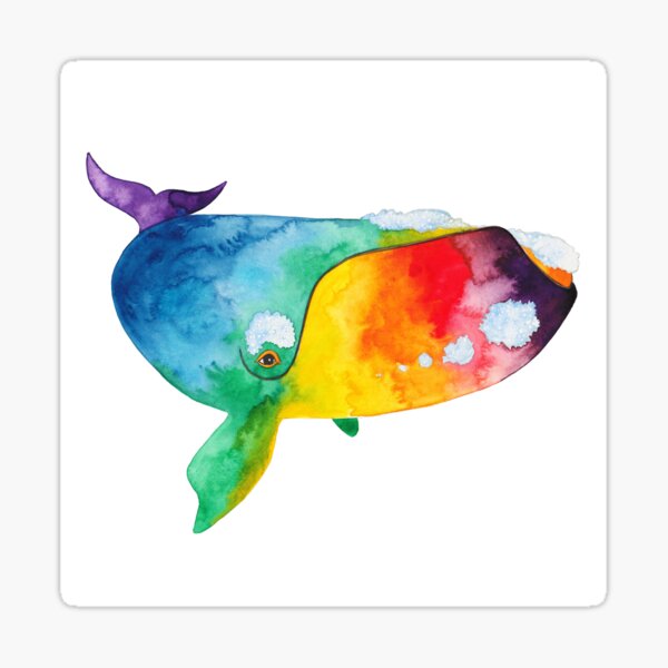 Rainbow Right Whale Sticker