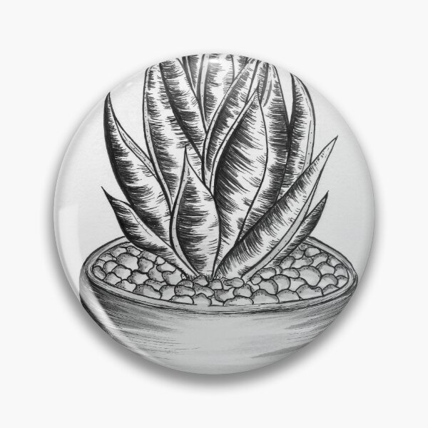 Item preview, Aloe Aristata designed and sold by rbrigandi.