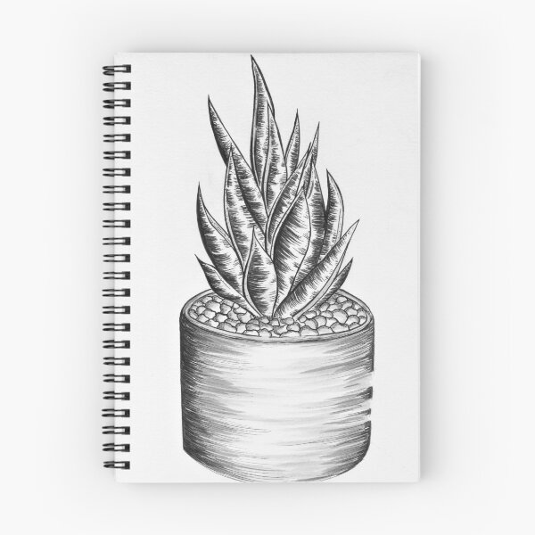 Item preview, Aloe Aristata designed and sold by rbrigandi.