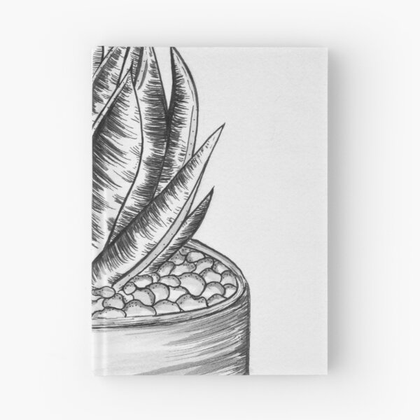 Item preview, Aloe Aristata designed and sold by rbrigandi.