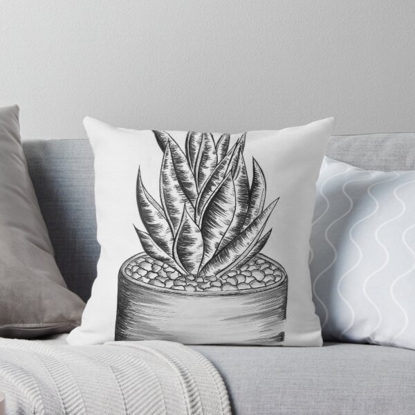 Item preview, Aloe Aristata designed and sold by rbrigandi.