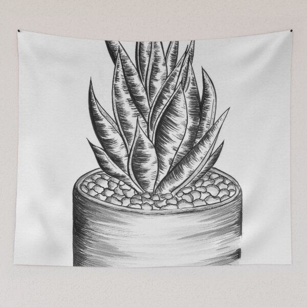 Item preview, Aloe Aristata designed and sold by rbrigandi.