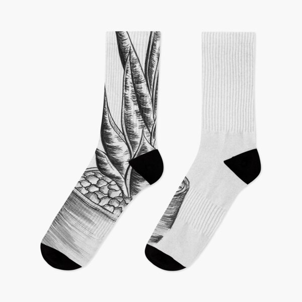 Item preview, Aloe Aristata designed and sold by rbrigandi.