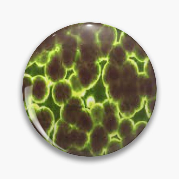 Item preview, Microscopic Bacteria designed and sold by Dubage603.