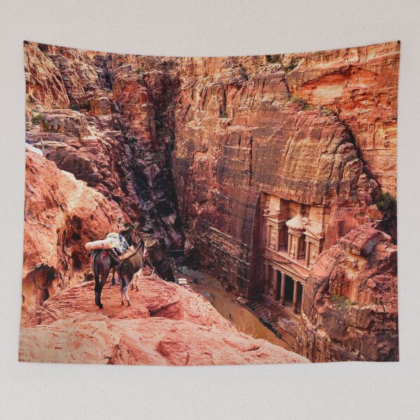 Item preview, Donkeys over Petra designed and sold by GhostGumDesigns.