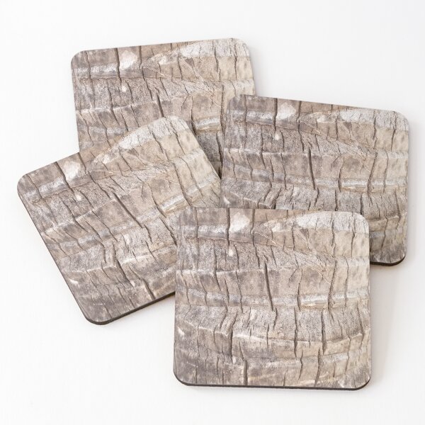 Item preview, Palm Tree texture designed and sold by stina-bee.