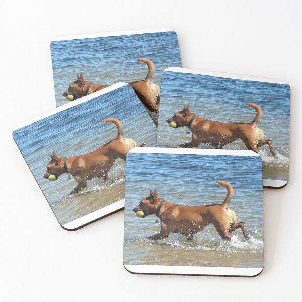Item preview, Got it!!! designed and sold by Roz McQuillan Fine Art & Photography.